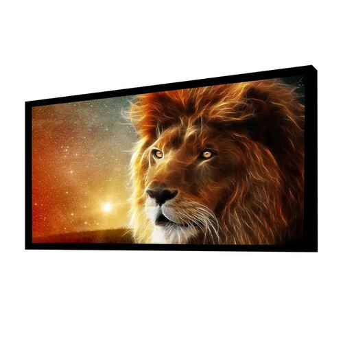 Pantalla Ecran Frame 100" 16:9 2.21x1.25 EVISION